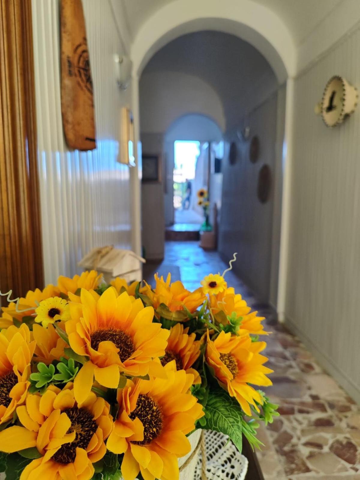 Casa Vacanze Con Giardino I Girasoli - Cin It 09006 - 9 C 2000 R4042- Sorso Exterior foto